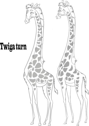 Twiga Turnaround